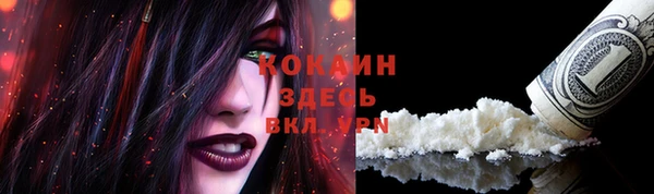 дмт Аркадак
