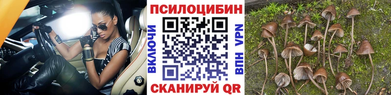 Псилоцибиновые грибы ЛСД  Уяр 