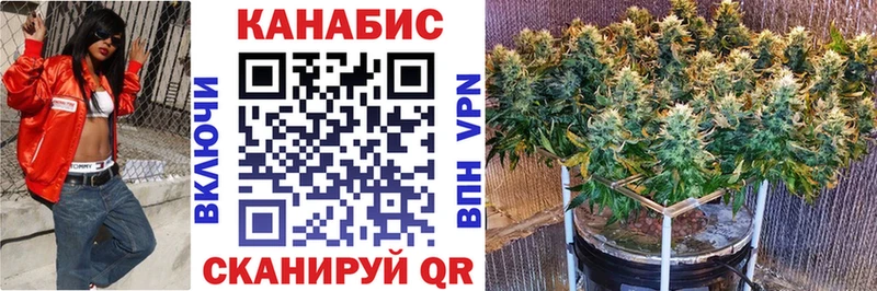 сайты даркнета как зайти  Уяр  Шишки марихуана план 